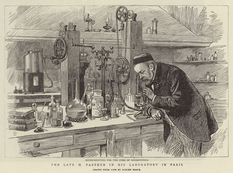 A néhai M. Pasteur a párizsi laboratóriumában alkotó: Adrien Emmanuel Marie