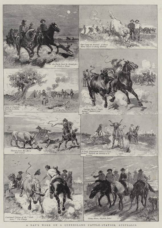 Egy napi munka egy queenslandi szarvasmarha-állomáson, Ausztráliában alkotó: Adrien Emmanuel Marie