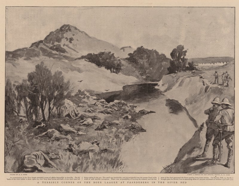 A Boer Laager szörnyű sarka Paardebergben a folyó medrében alkotó: Alexander Stuart Boyd