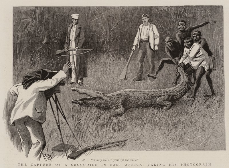 Egy krokodil elfogása Kelet-Afrikában, a fényképezése alkotó: Alexander Stuart Boyd