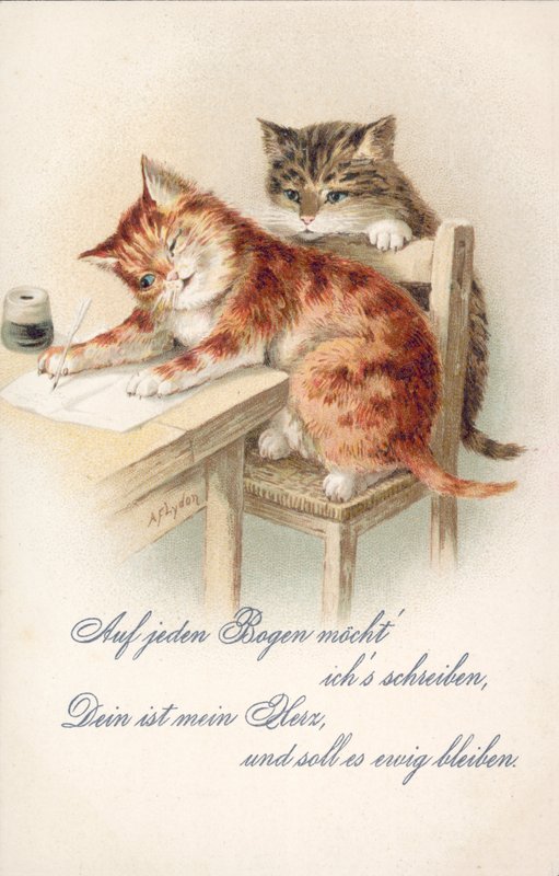 Humoros macskás képeslap (színes litográfia) alkotó: Alexander Francis (after) Lydon