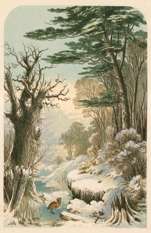 Illusztráció: Longfellow