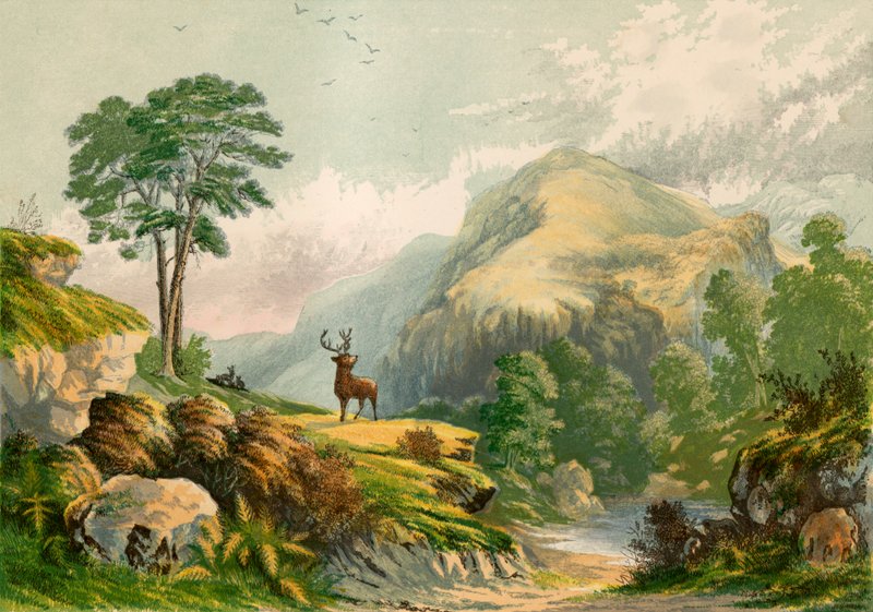 Illusztráció Wilson beszédéhez egy vadszarvashoz alkotó: Alexander Francis Lydon