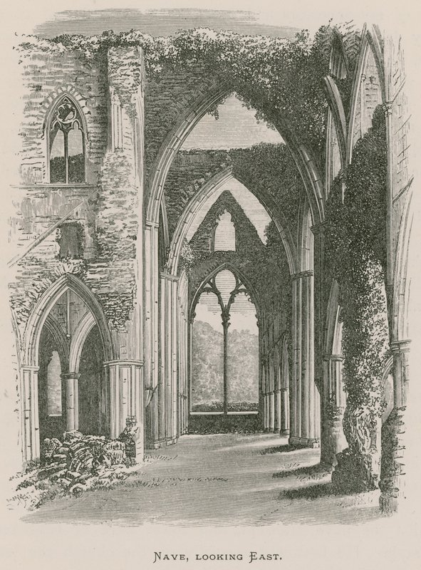 Tintern Abbey, Nave, keletre néz alkotó: Alexander Francis Lydon