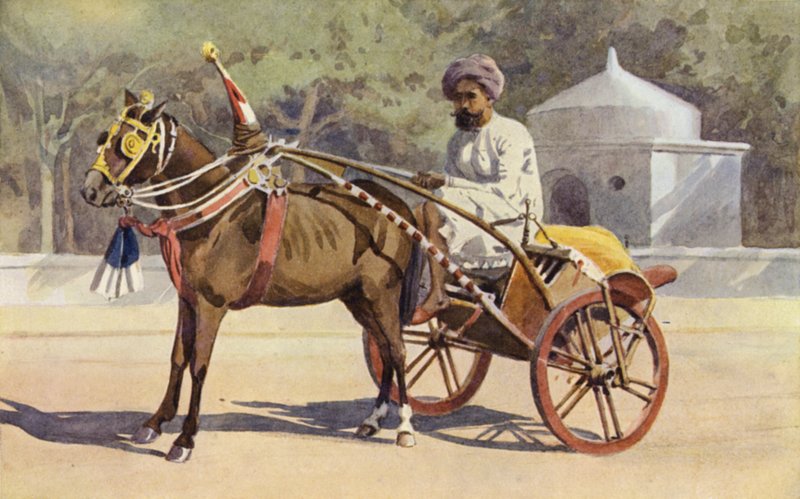 Egy Benares Ekka alkotó: Alexander Henry Hallam Murray