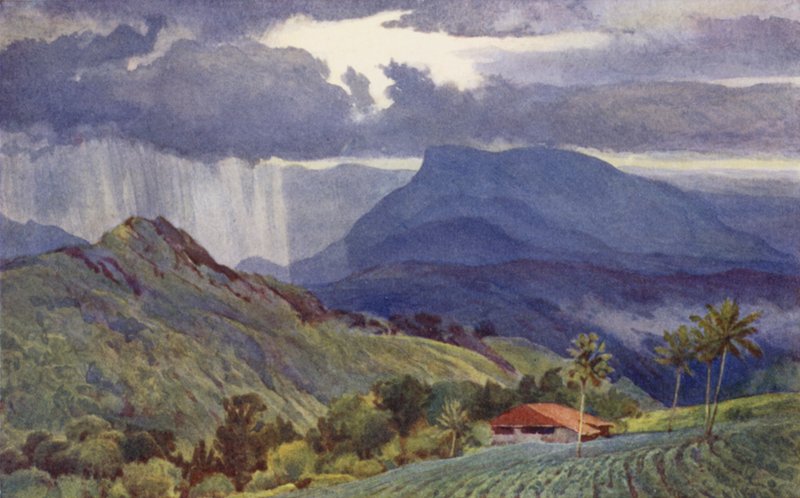 Trópusi zuhany alkotó: Alexander Henry Hallam Murray
