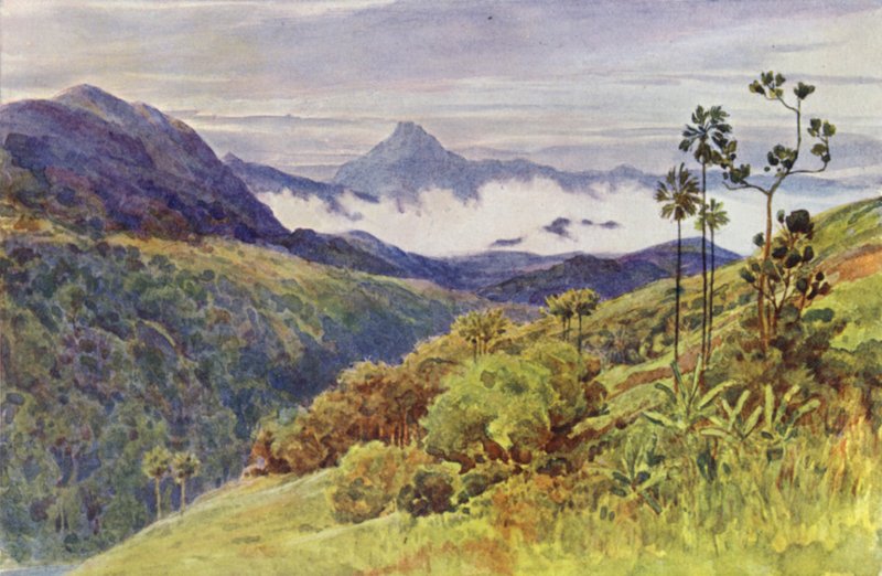 Reggeli ködök a Mahaweli Ganga völgyében (színes litó) alkotó: Alexander Henry Hallam Murray