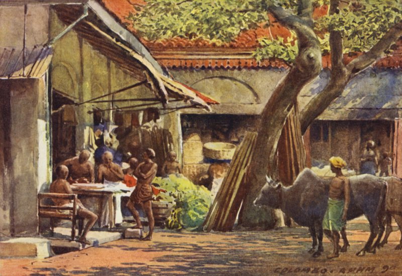 A piac, Colombo alkotó: Alexander Henry Hallam Murray