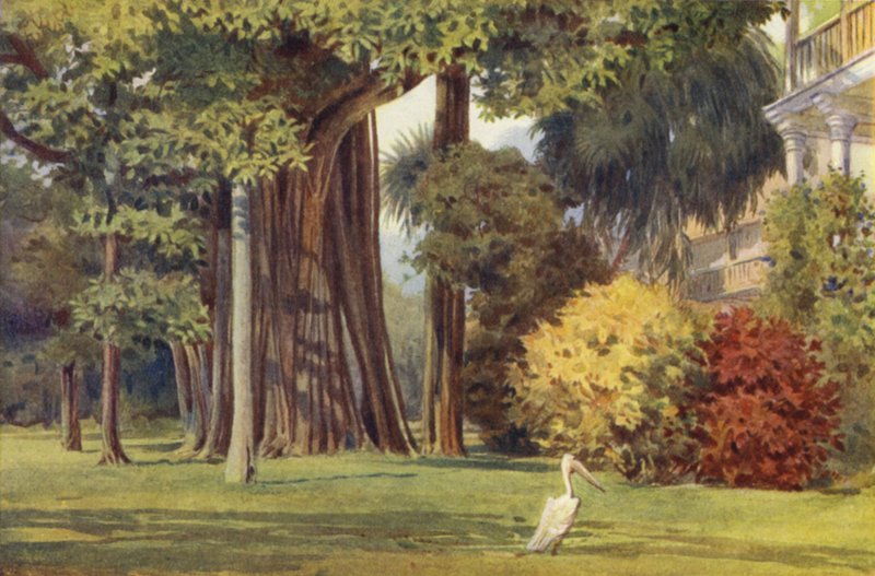 A Queens House, Colombo alkotó: Alexander Henry Hallam Murray