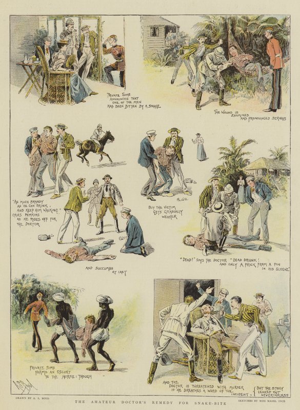 Az amatőr orvosok kígyómarás elleni gyógyszere (chromolitho) alkotó: Alexander Stuart Boyd