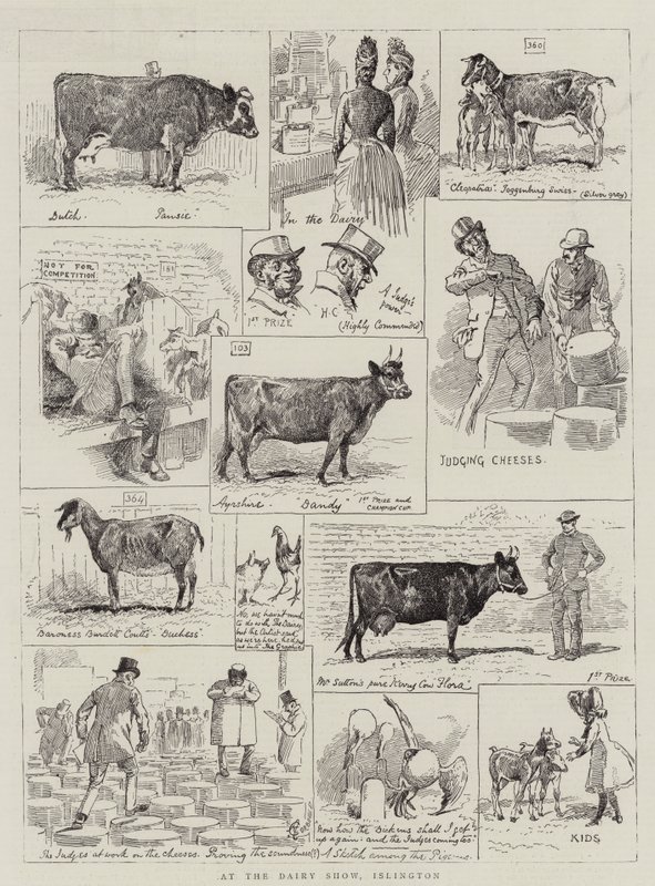 A Dairy Show-n, Islingtonban alkotó: Alfred Chantrey Corbould