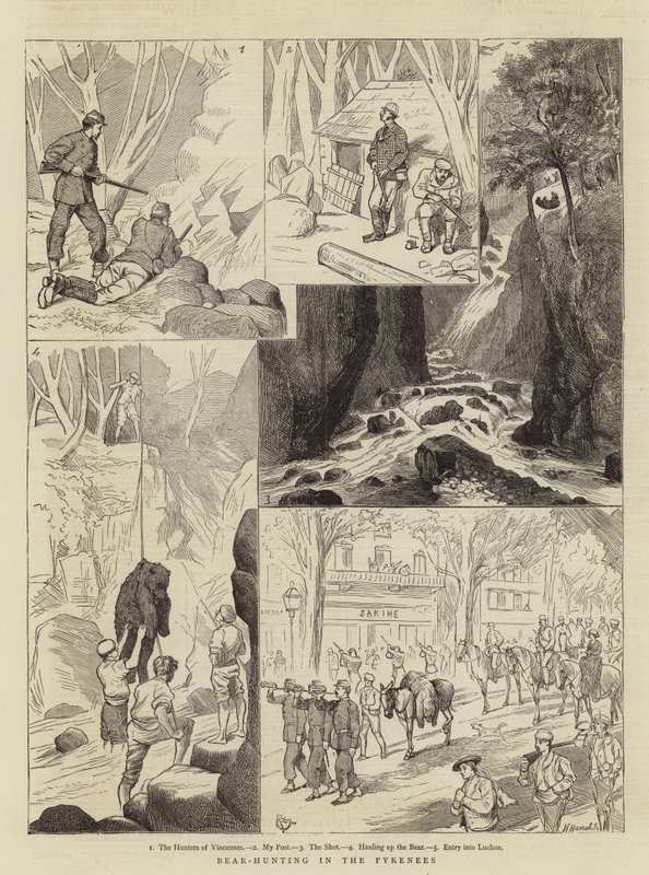 Medvevadászat a Pireneusokban alkotó: Alfred Chantrey Corbould
