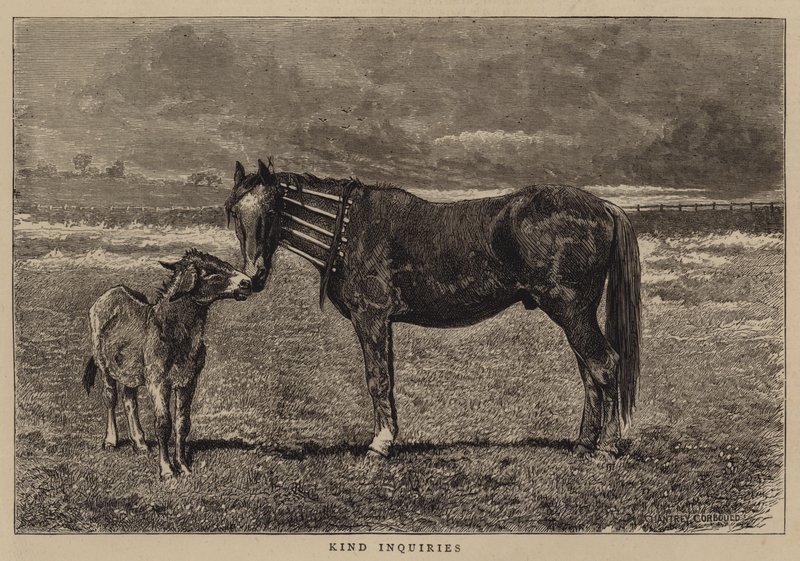 Kedves Érdeklődés alkotó: Alfred Chantrey Corbould