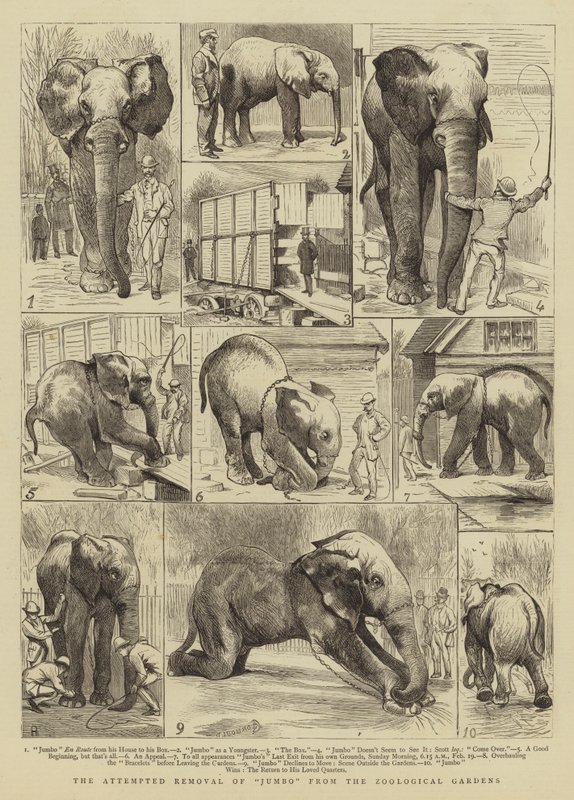 A Jumbo eltávolításának kísérlete az Állatkertből alkotó: Alfred Chantrey Corbould