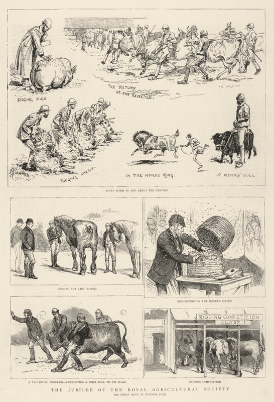 A Királyi Mezőgazdasági Társaság jubileuma alkotó: Alfred Chantrey Corbould