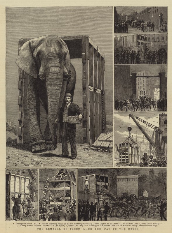 A Jumbo eltávolítása, I. Útban a dokkok felé alkotó: Alfred Chantrey Corbould