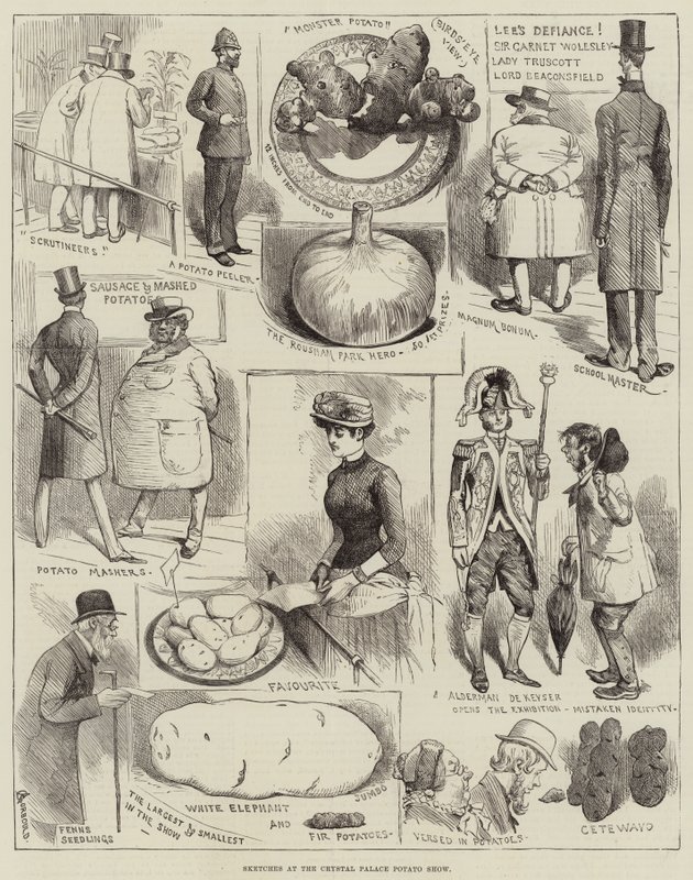 Vázlatok a Crystal Palace Potato Show-n alkotó: Alfred Courbould