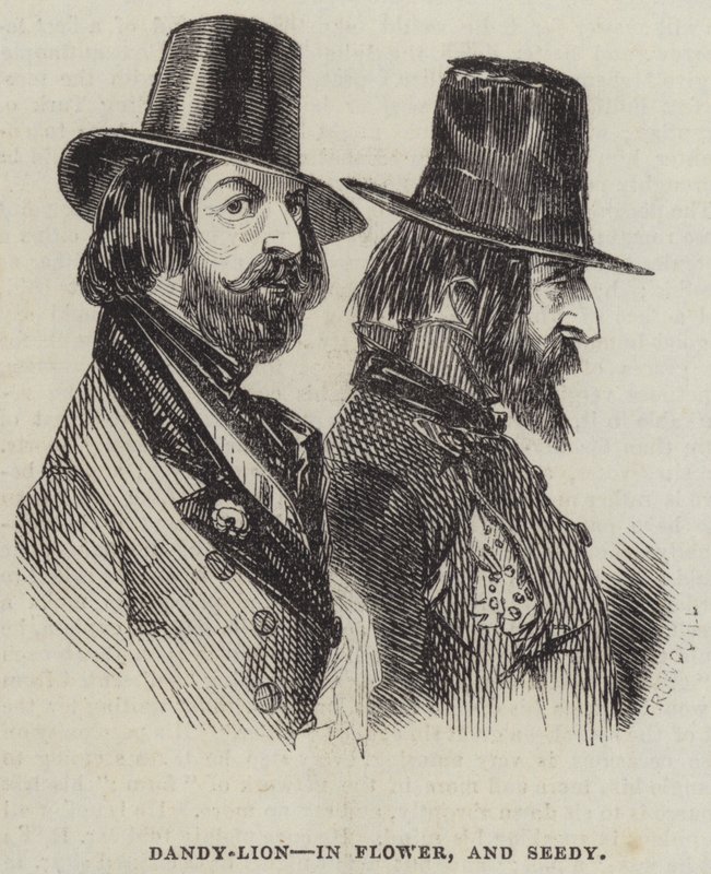 Dandy-Lion, a Virágban és a Magvasban alkotó: Alfred Crowquill