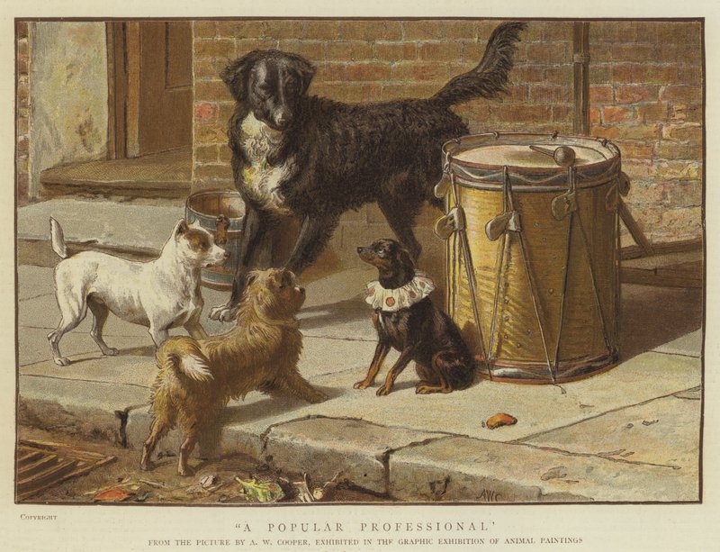 Egy népszerű szakember (chromolitho) alkotó: Alfred W. Cooper