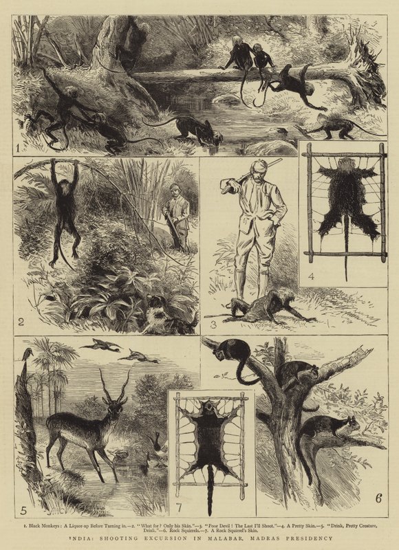 India, lövészkirándulás Malabarban, Madras elnökségi körzetben alkotó: Alfred W. Cooper