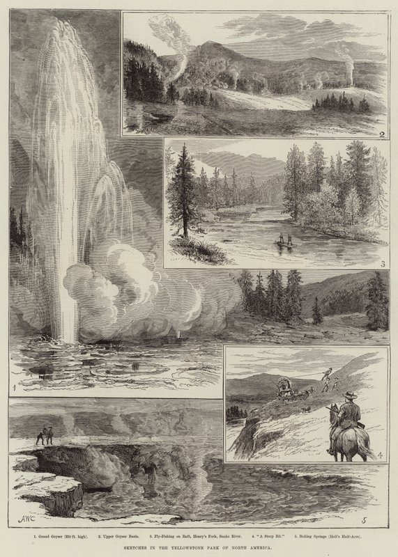 Vázlatok az észak-amerikai Yellowstone Parkban alkotó: Alfred W. Cooper