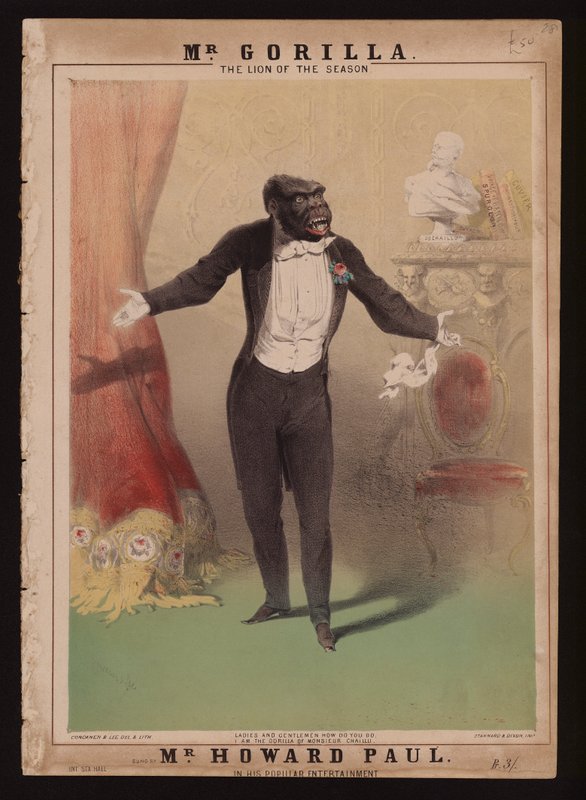 „Én vagyok Monsieur Chaillu gorillája” (színes litó) alkotó: Alfred (after) Concanen