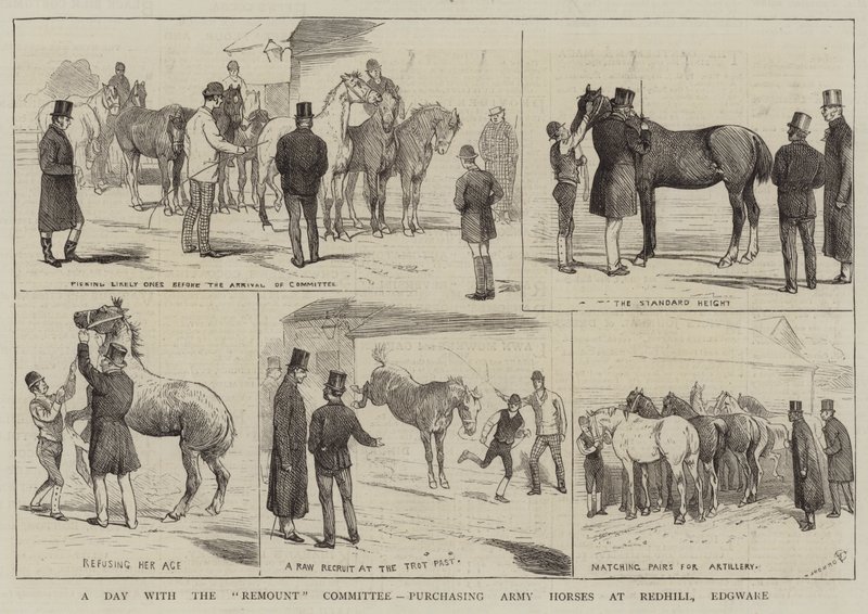Egy nap a Remount Bizottsággal, a hadsereg lovainak megvásárlása Redhillben, Edgware-ben alkotó: Alfred Chantrey Corbould