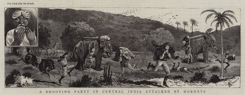Egy lövészpárt Közép-Indiában megtámadtak a darazsak alkotó: Alfred Chantrey Corbould