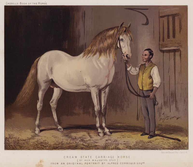 Cream State Carriage Horse, a Her Majesty