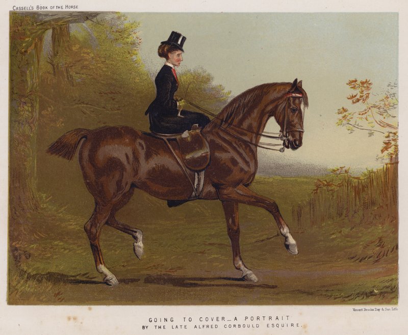 Going to Cover (színes litó) alkotó: Alfred Chantrey Corbould