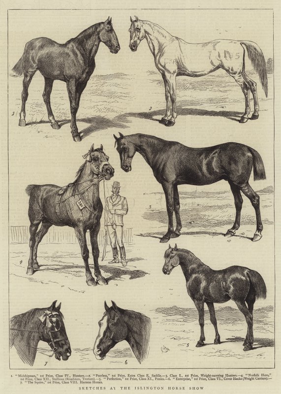 Vázlatok az Islington Horse Show-n alkotó: Alfred Chantrey Corbould