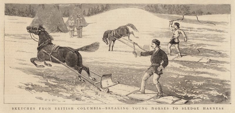 Vázlatok British Columbiából, a fiatal lovak törésétől a szánkózásig alkotó: Alfred Chantrey Corbould