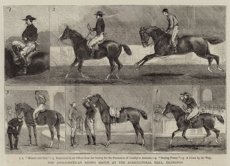 Az angol-mexikói lovaglás az islingtoni mezőgazdasági csarnokban alkotó: Alfred Chantrey Corbould