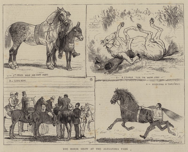 A lovasbemutató az Alexandra Parkban alkotó: Alfred Chantrey Corbould