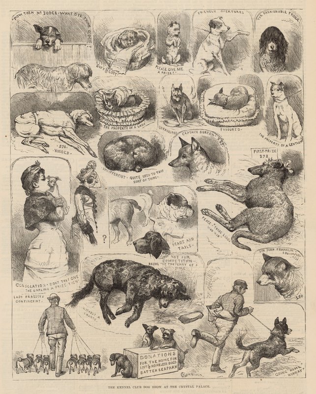 A Kennel Club kutyakiállítása a Crystal Palace-ban alkotó: Alfred Chantrey Corbould