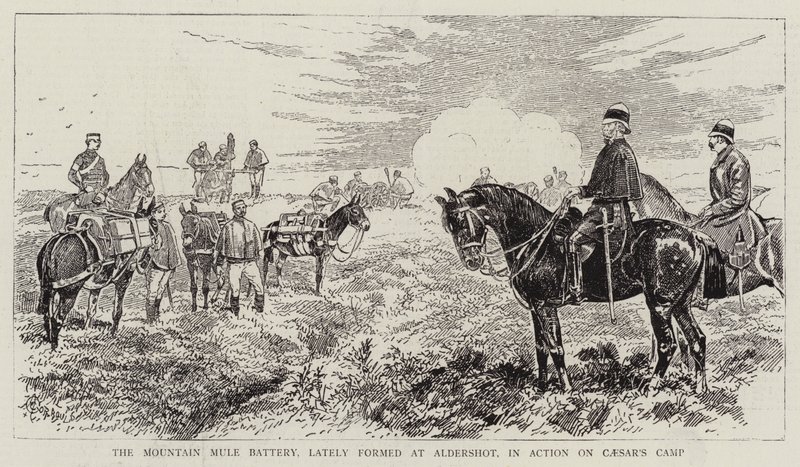A hegyi öszvér üteg, amely nemrégiben alakult Aldershotban, a Caesar táborában alkotó: Alfred Chantrey Corbould
