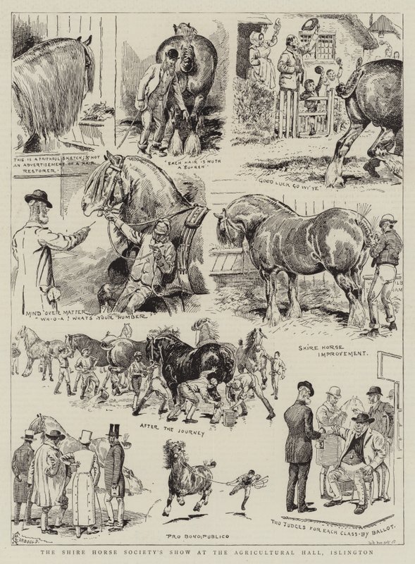 A Shire Horse Society kiállítása az Islington-i Mezőgazdasági Csarnokban alkotó: Alfred Chantrey Corbould