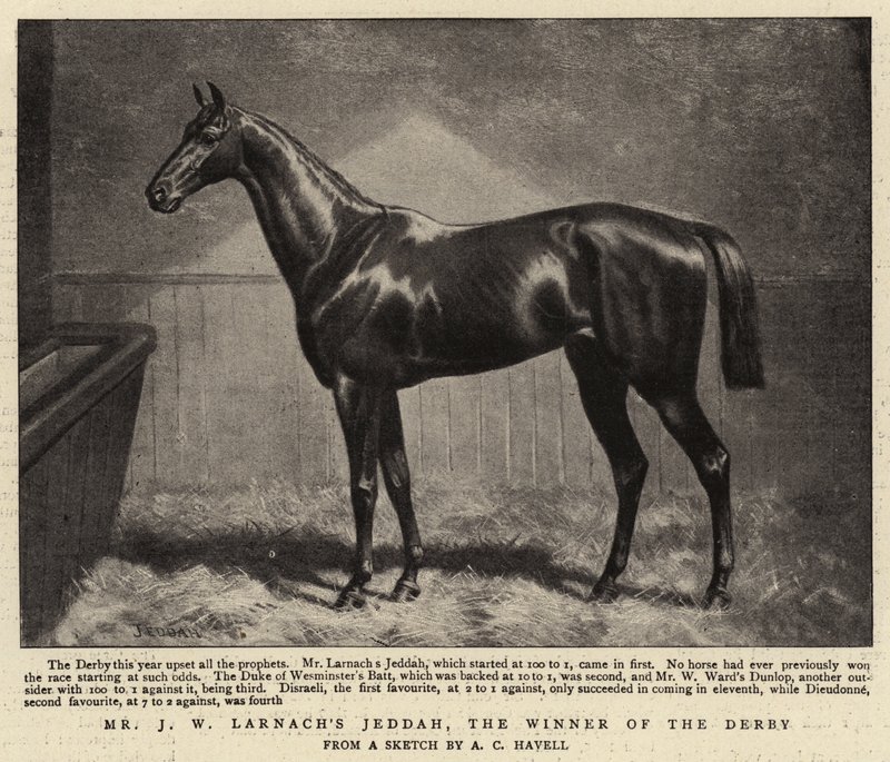 J W Larnachs Jeddah, a Derby győztese alkotó: Alfred Charles Havell