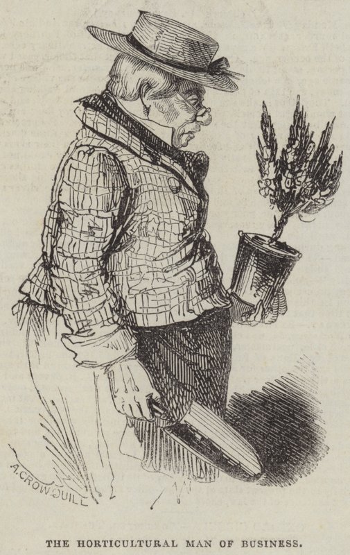 A kertészeti üzletember alkotó: Alfred Crowquill