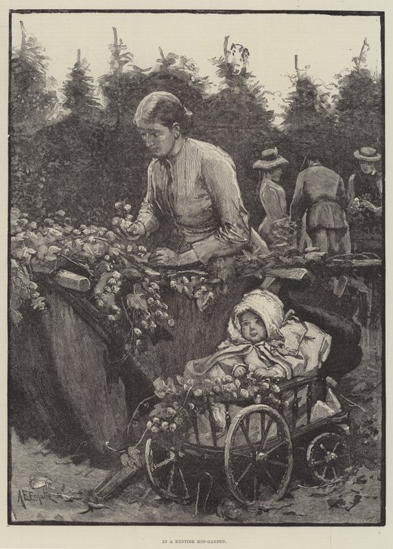 Egy kenti komlóskertben alkotó: Alfred Edward Emslie