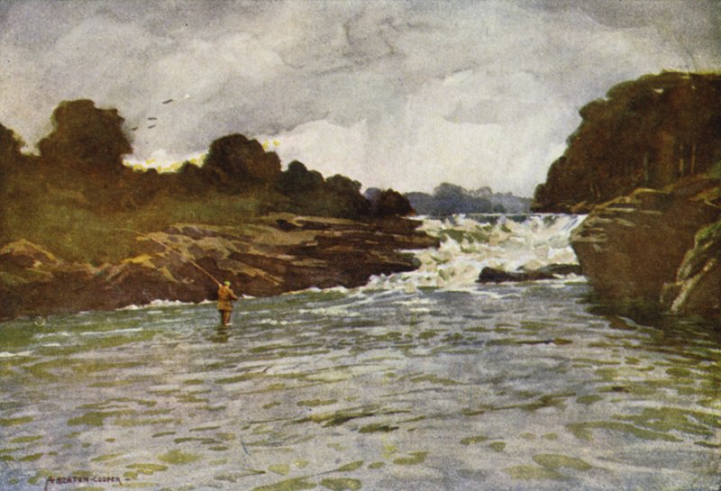Kathleens vízesés, Ballyshannon alkotó: Alfred Heaton Cooper
