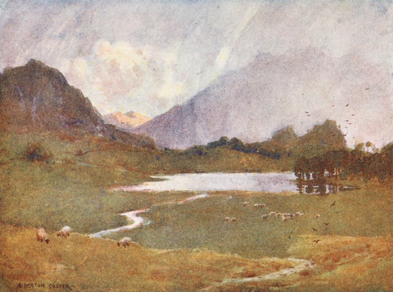 Lake District: Blea Tarn (színes litográfia) alkotó: Alfred Heaton Cooper