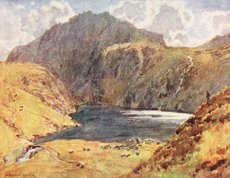 Lake District: Angle Tarn, Esk Hause (színes litográfia) alkotó: Alfred Heaton Cooper
