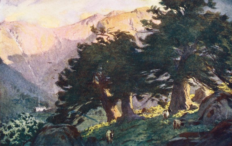 Lake District: Borrowdale Yews, este (színes lithó) alkotó: Alfred Heaton Cooper