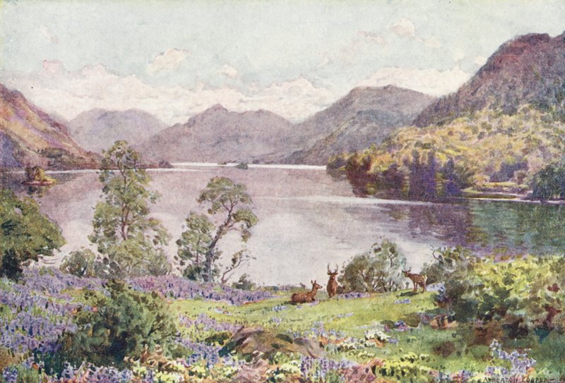 Lake District: Parkból, egy fülledt júniusi reggelen (színes litográfia). alkotó: Alfred Heaton Cooper