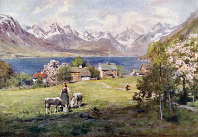 Romsdal-fjord, Naesből alkotó: Alfred Heaton Cooper