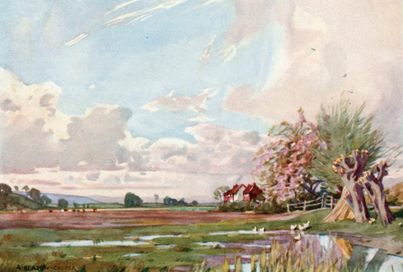 Athelney-sziget (színes litó) alkotó: Alfred Heaton Cooper