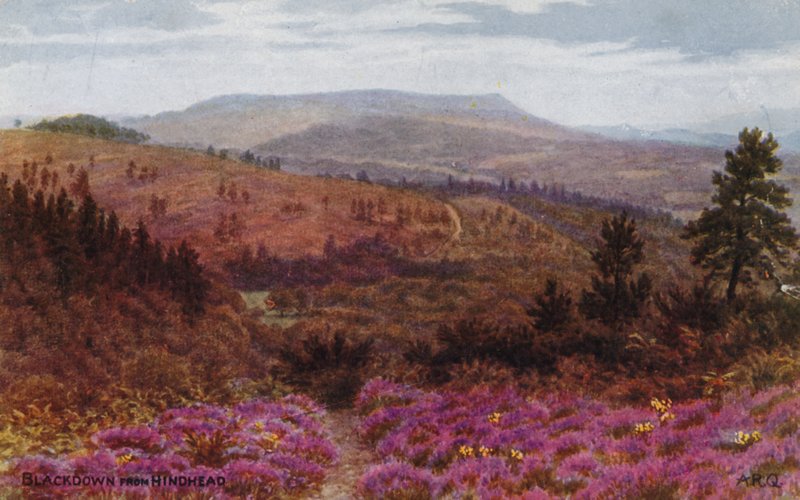 Blackdown Hindhead felől alkotó: Alfred Robert Quinton