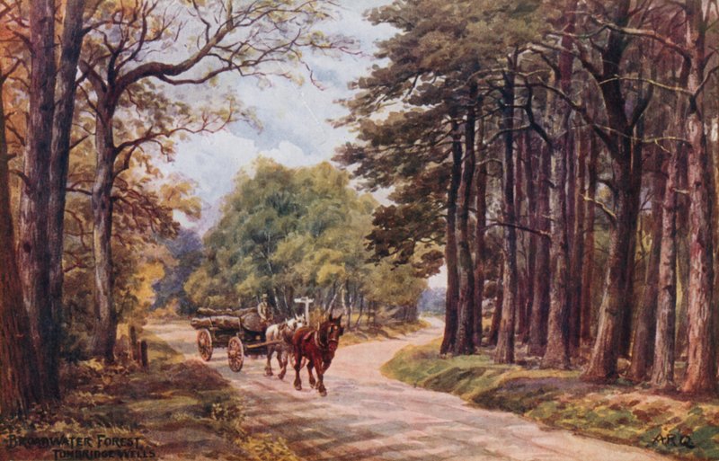 Broadwater Forest, Tunbridge Wells alkotó: Alfred Robert Quinton