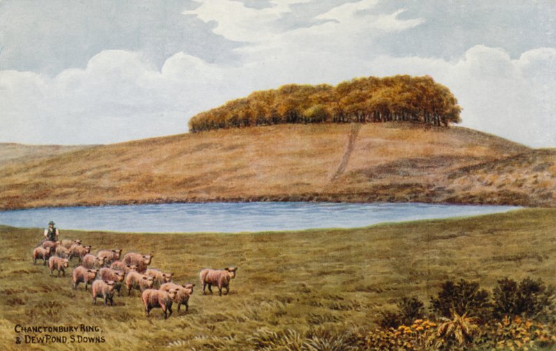 Chanctonbury Ring és Dew Pond, S Downs alkotó: Alfred Robert Quinton